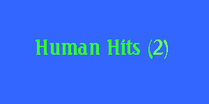 hiddenHumanHitMsg2