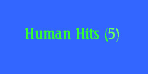 hiddenHumanHitMsg5